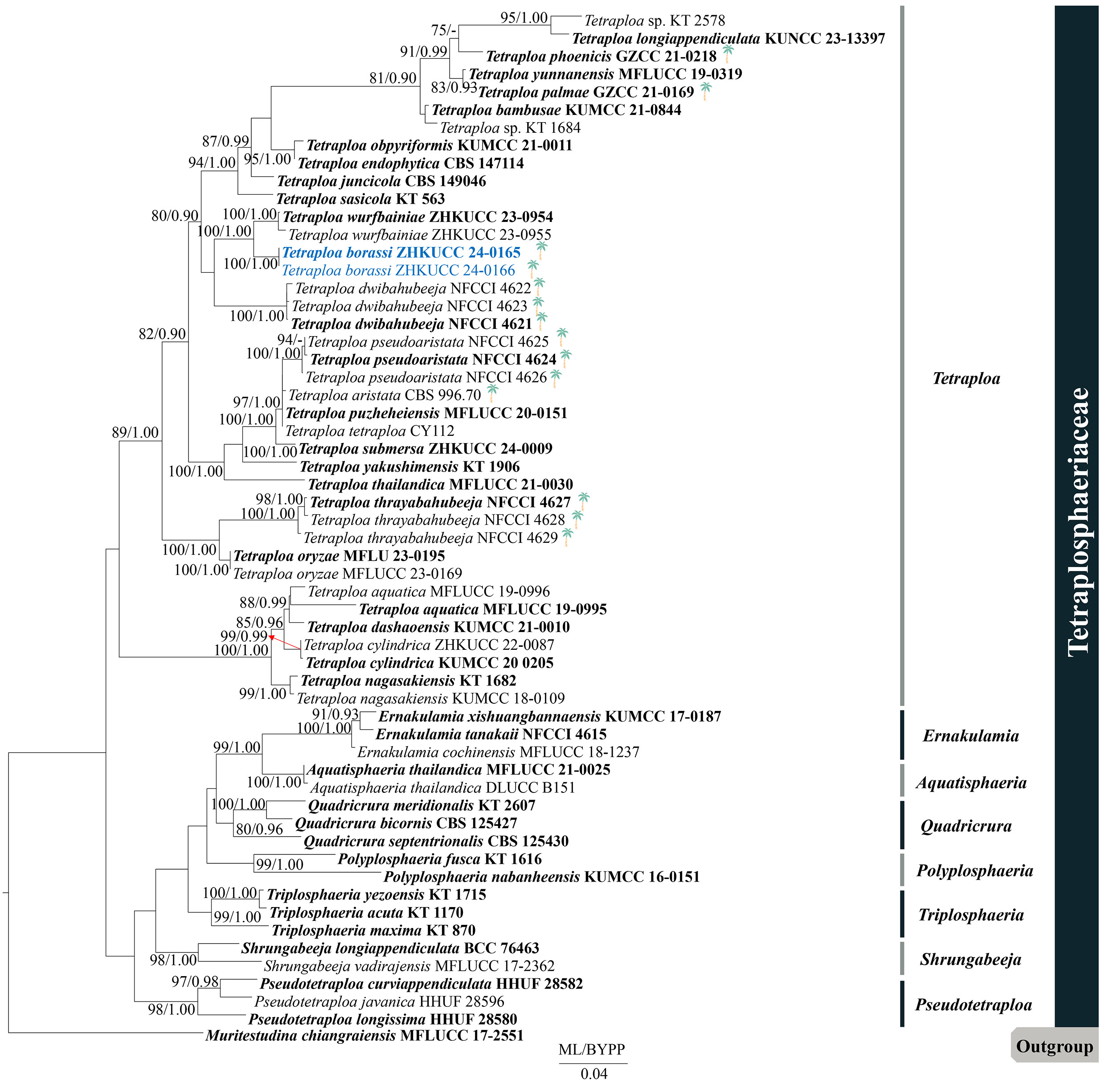 Figure 53